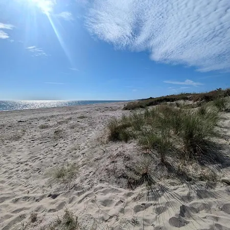 18 Person In Vaeggerlose *